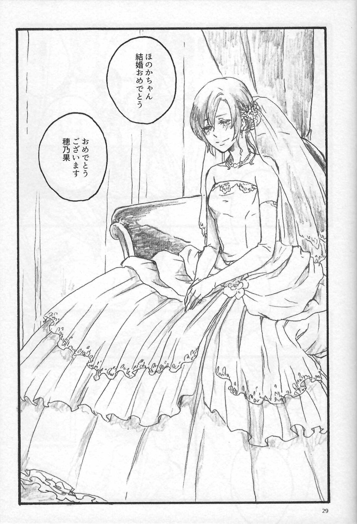 Anemone coronaria - Page 28