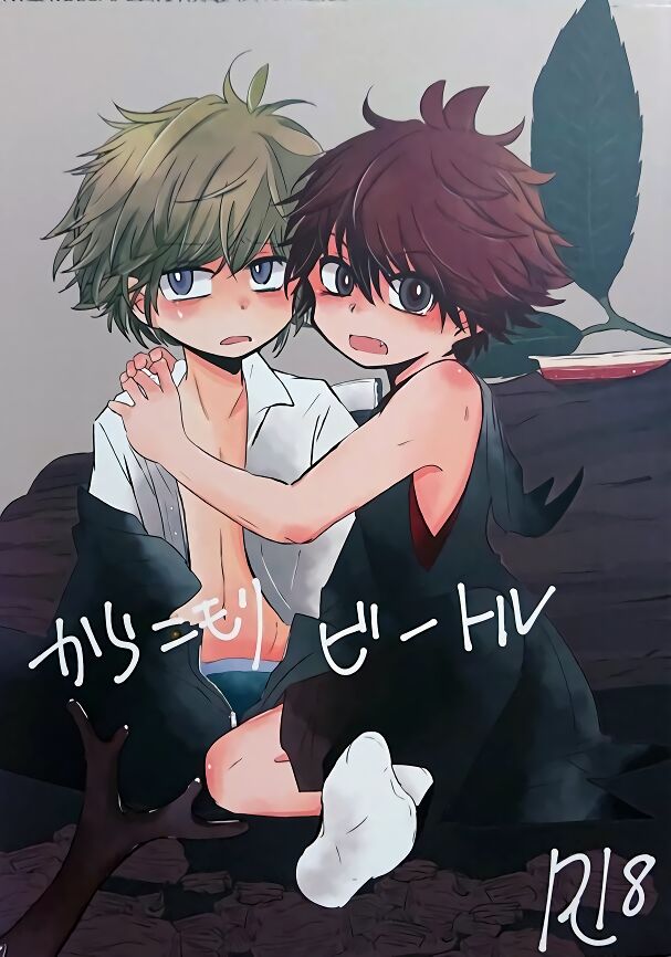 Karakomori Beetle - Page 1