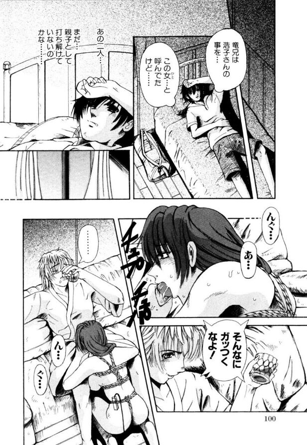 Mesuinu-tachi no Kyouen - Page 101