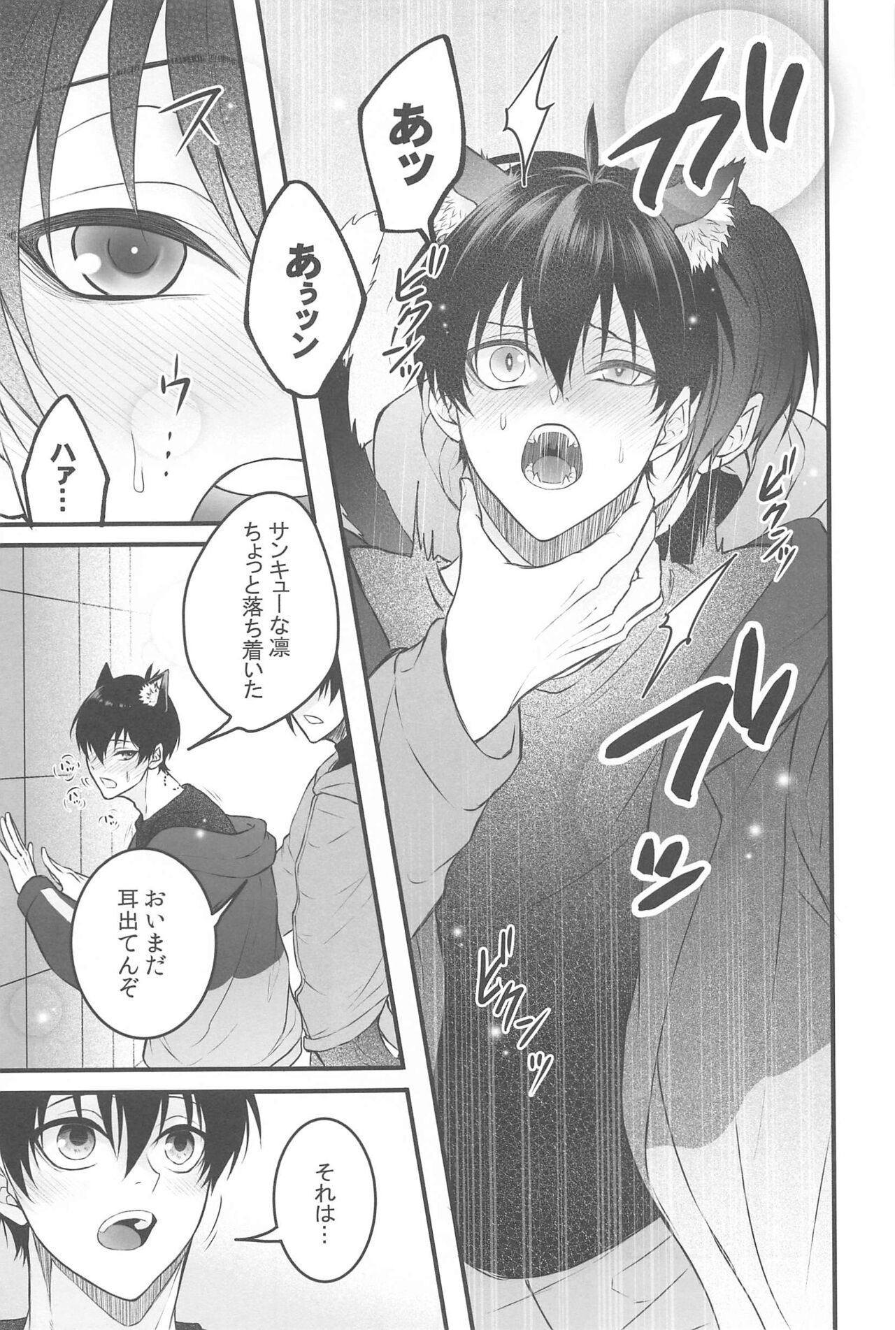 RINISA VARIETY PACK - Page 16