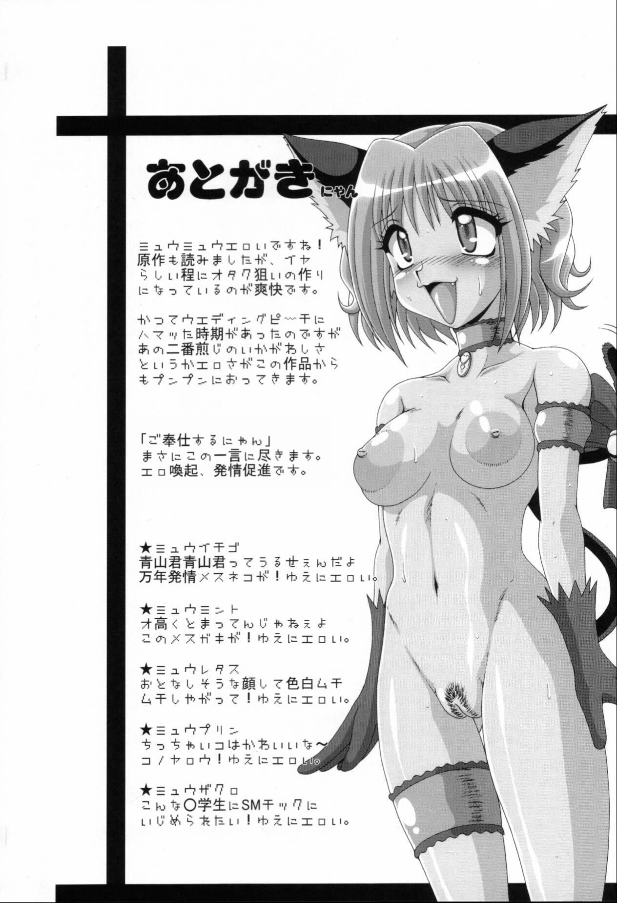 Choukyou Mew Mew - Page 35