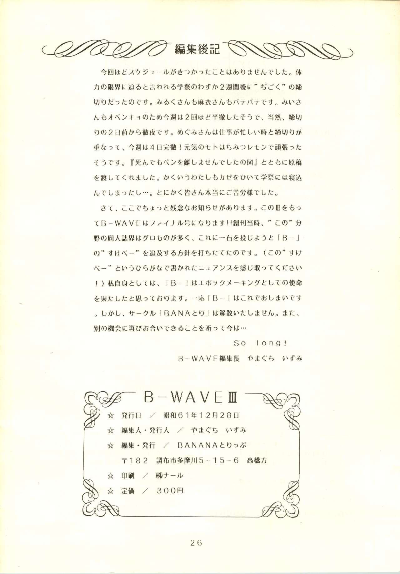 B-WAVE III - Page 27