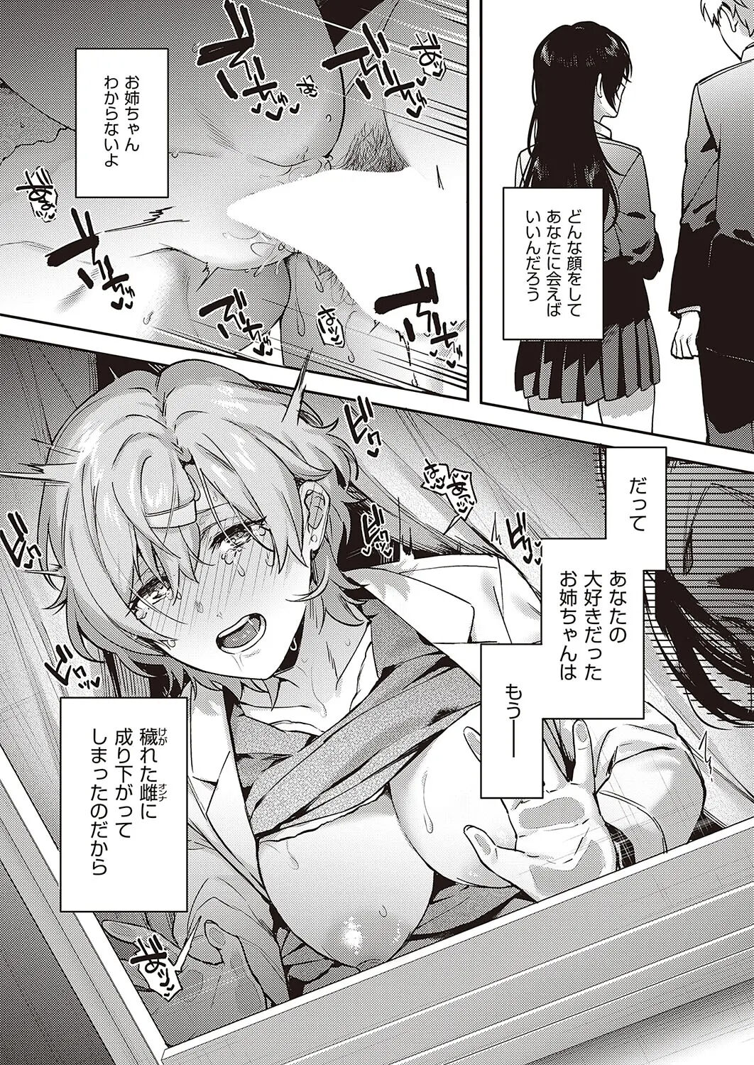 Boku no Daisuki na Mesu - Page 89