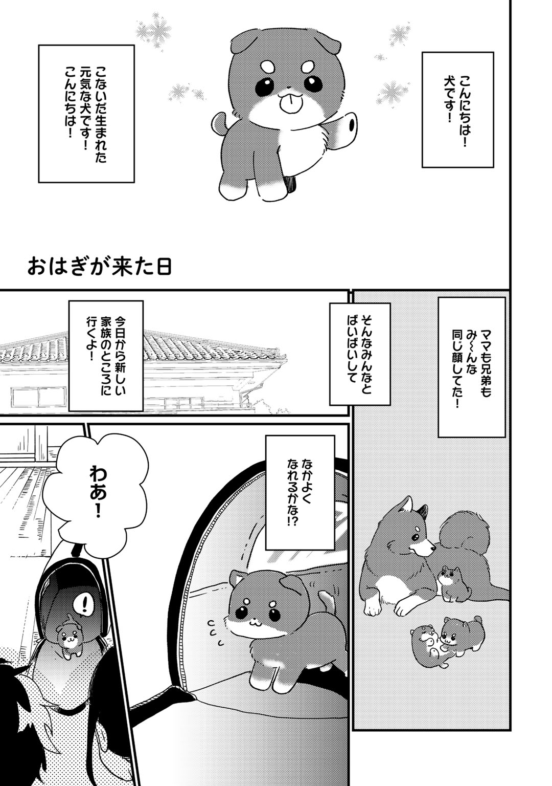 Hatsukoi Escape - Page 205