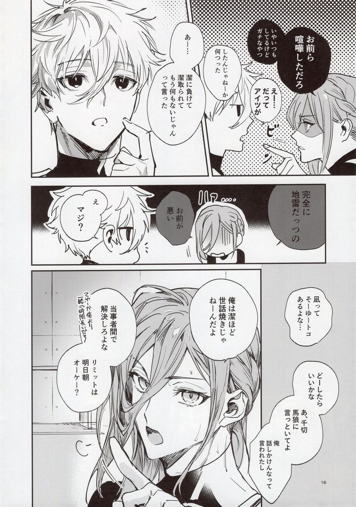 VIVID ADDITIVE MIXTURE - Page 15