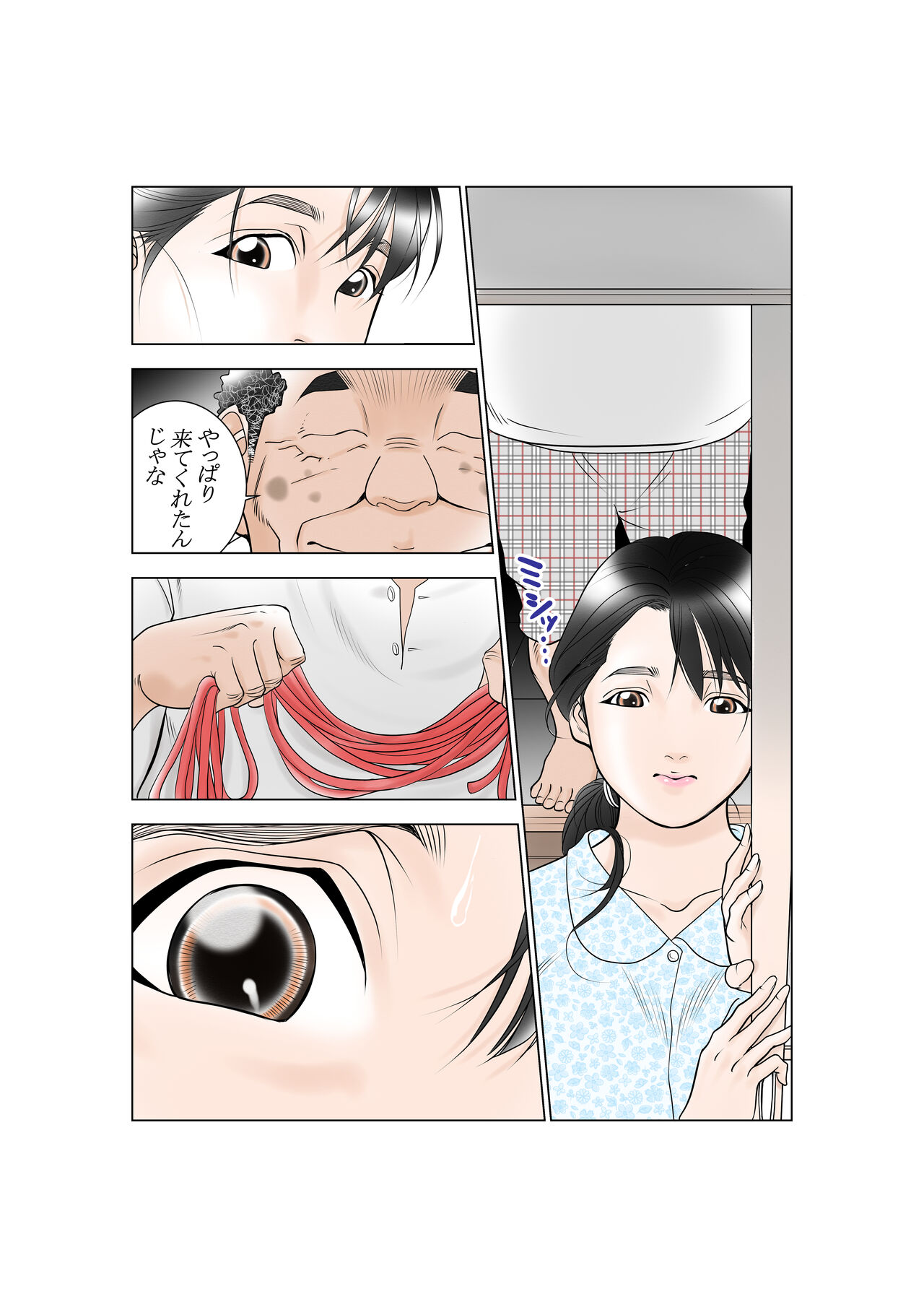 [Yaoyorozu Shachuu] D. H Danna ni Himitsu Yasuda Maiko (36-sai) no Baai - Page 9