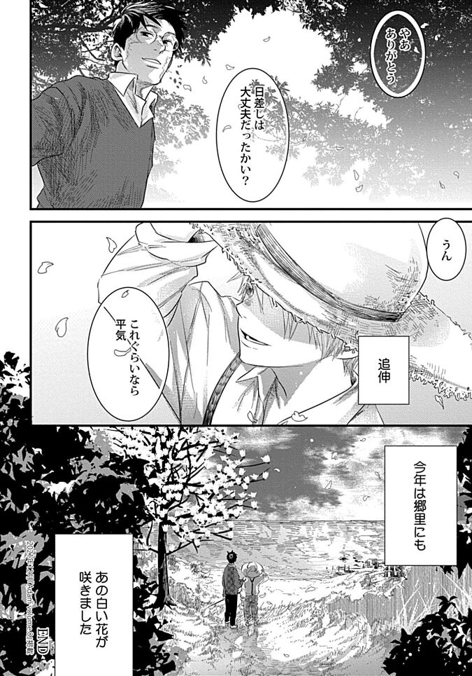 White flowers falling in clusters - Page 164