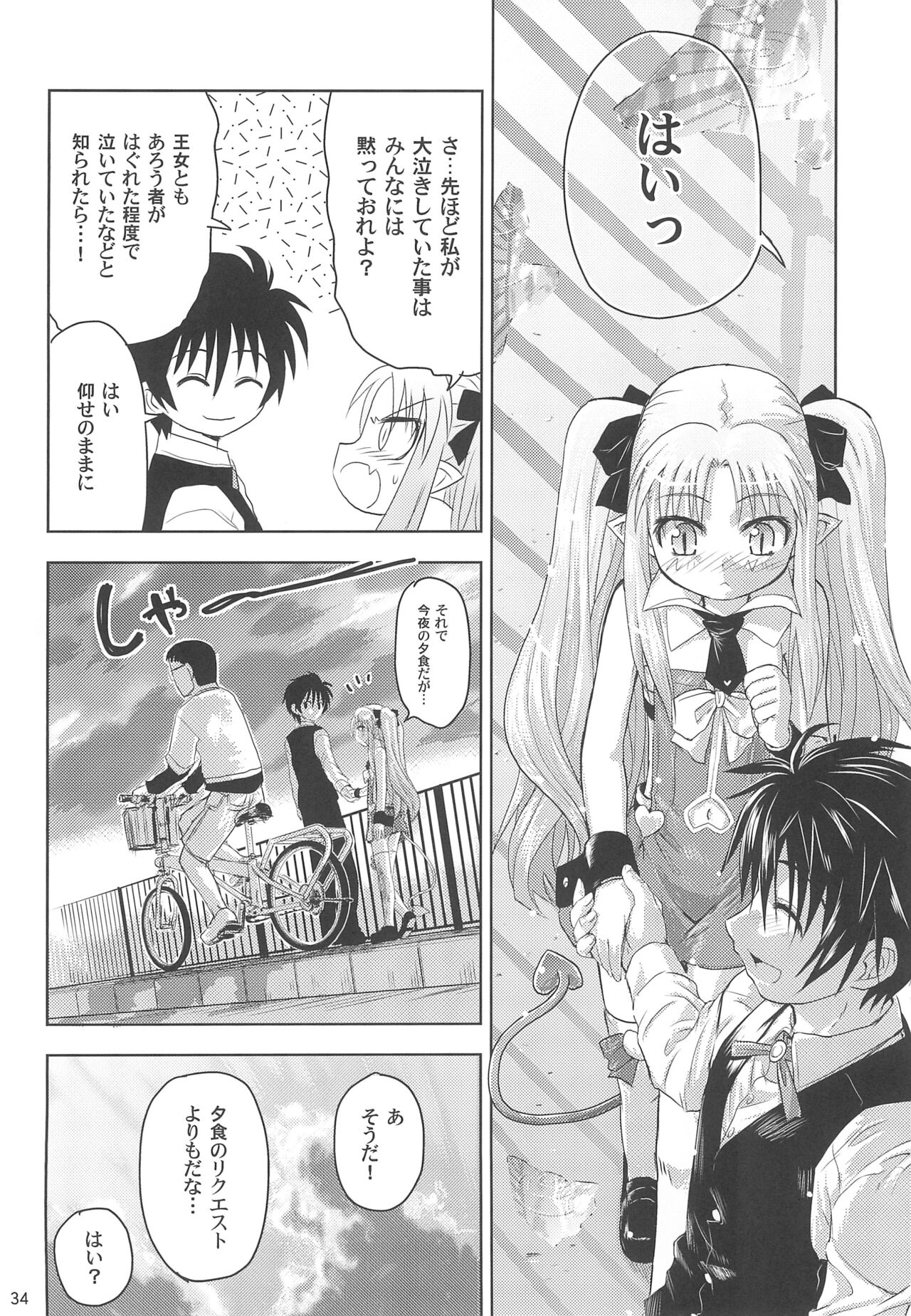 Maigo no Maigo no Hime-sama Plus - Page 34