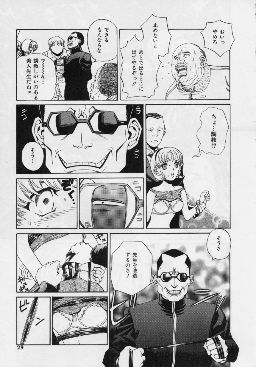 Nikuyoku Shidou - Page 27