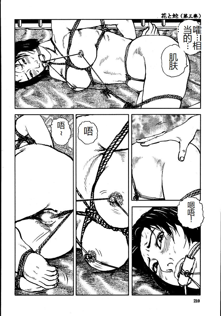 Hana to Hebi 3 - Page 215