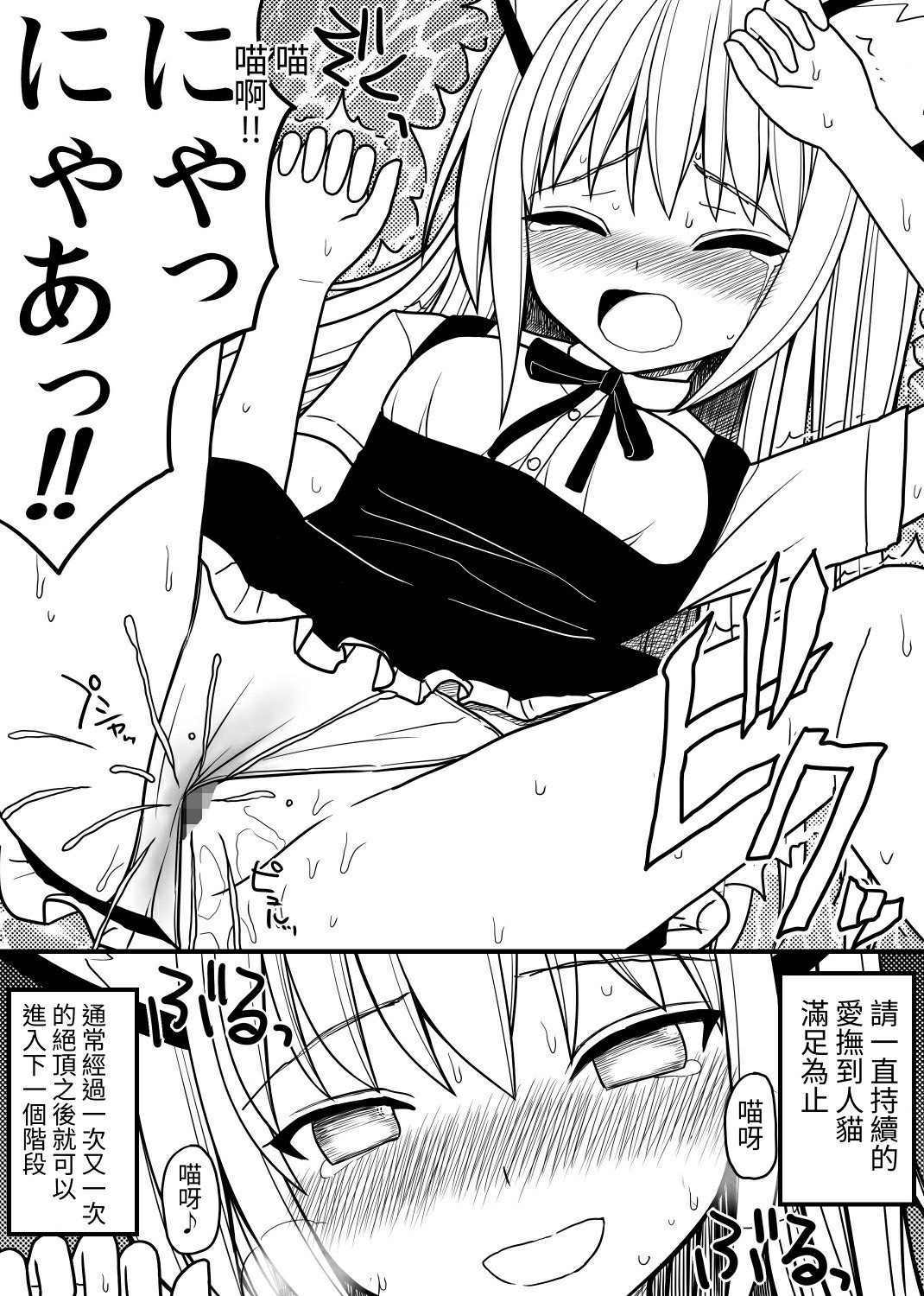 Hito neko no kaikata ～Hatsujo-ki-hen～ - Page 12