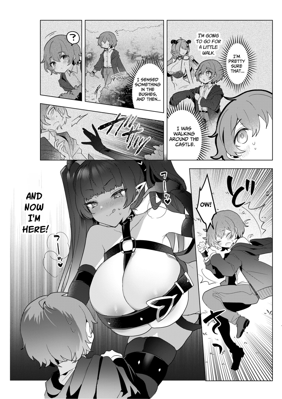 Succubus in Wonderland After! Vol. 1 - Page 11