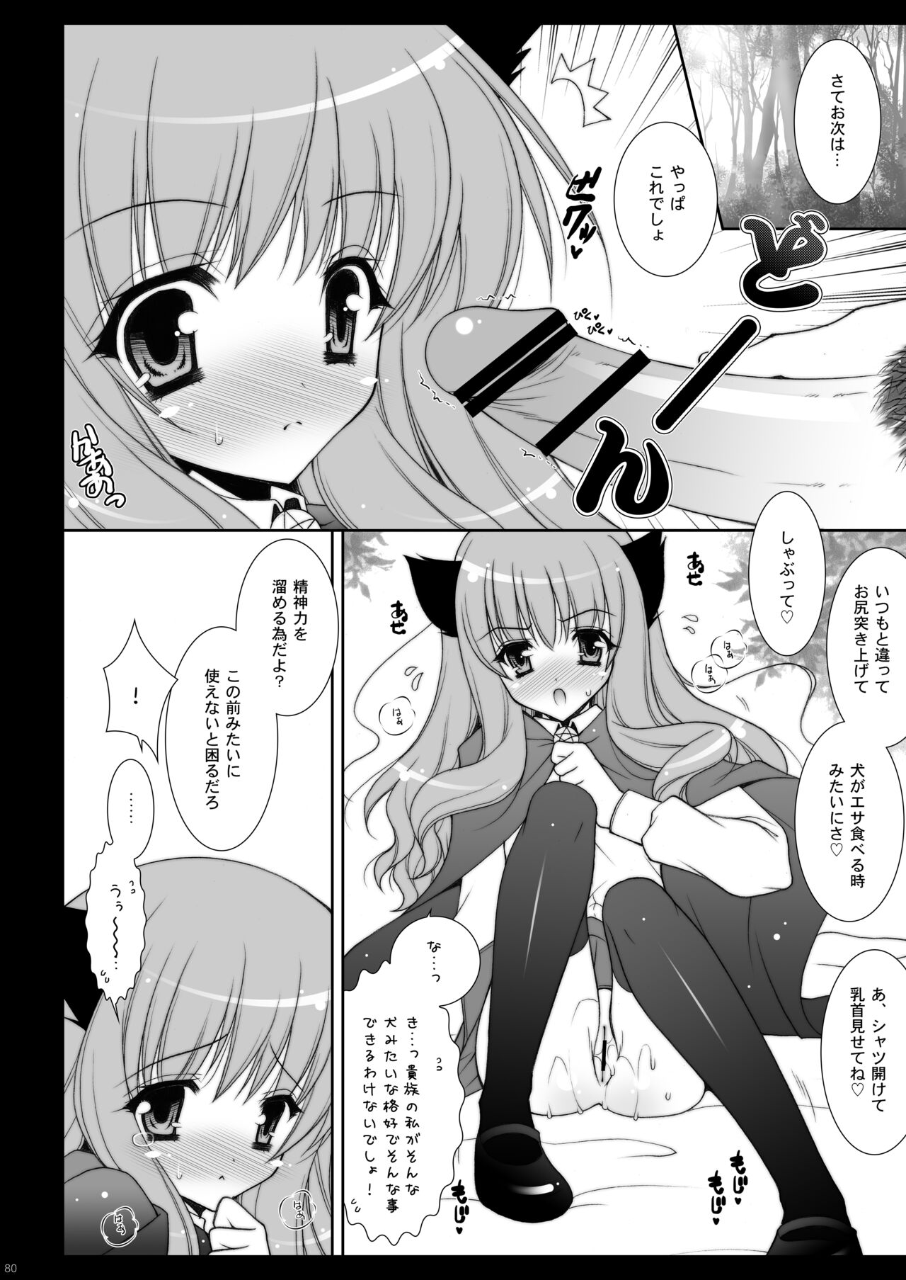 Zero no Tsukaima Soushuuhen - Page 80