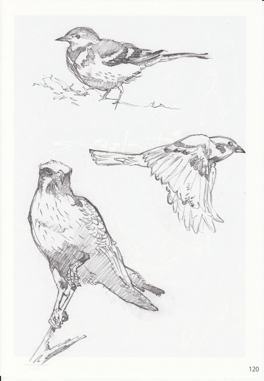 DEAD WOOD DESIGNS page 233 - artbook hentai manga - read online free