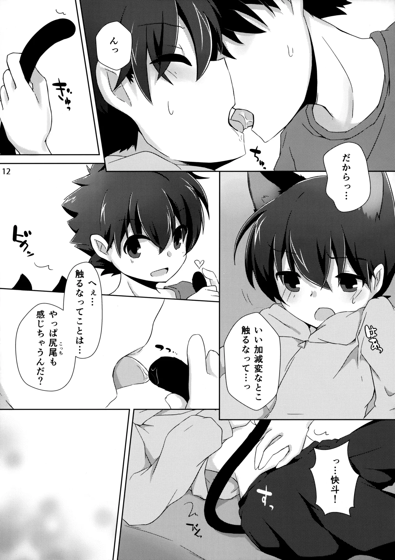 cat fancier - Page 11