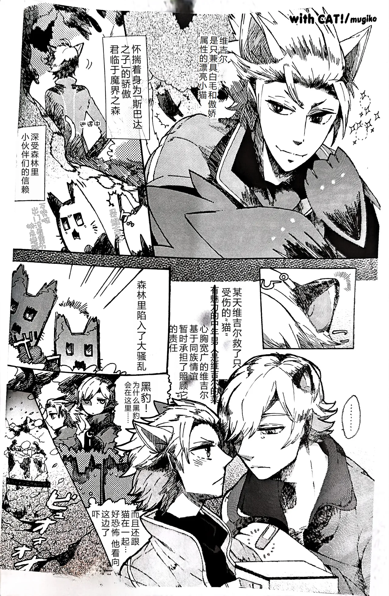 cat food - Page 13
