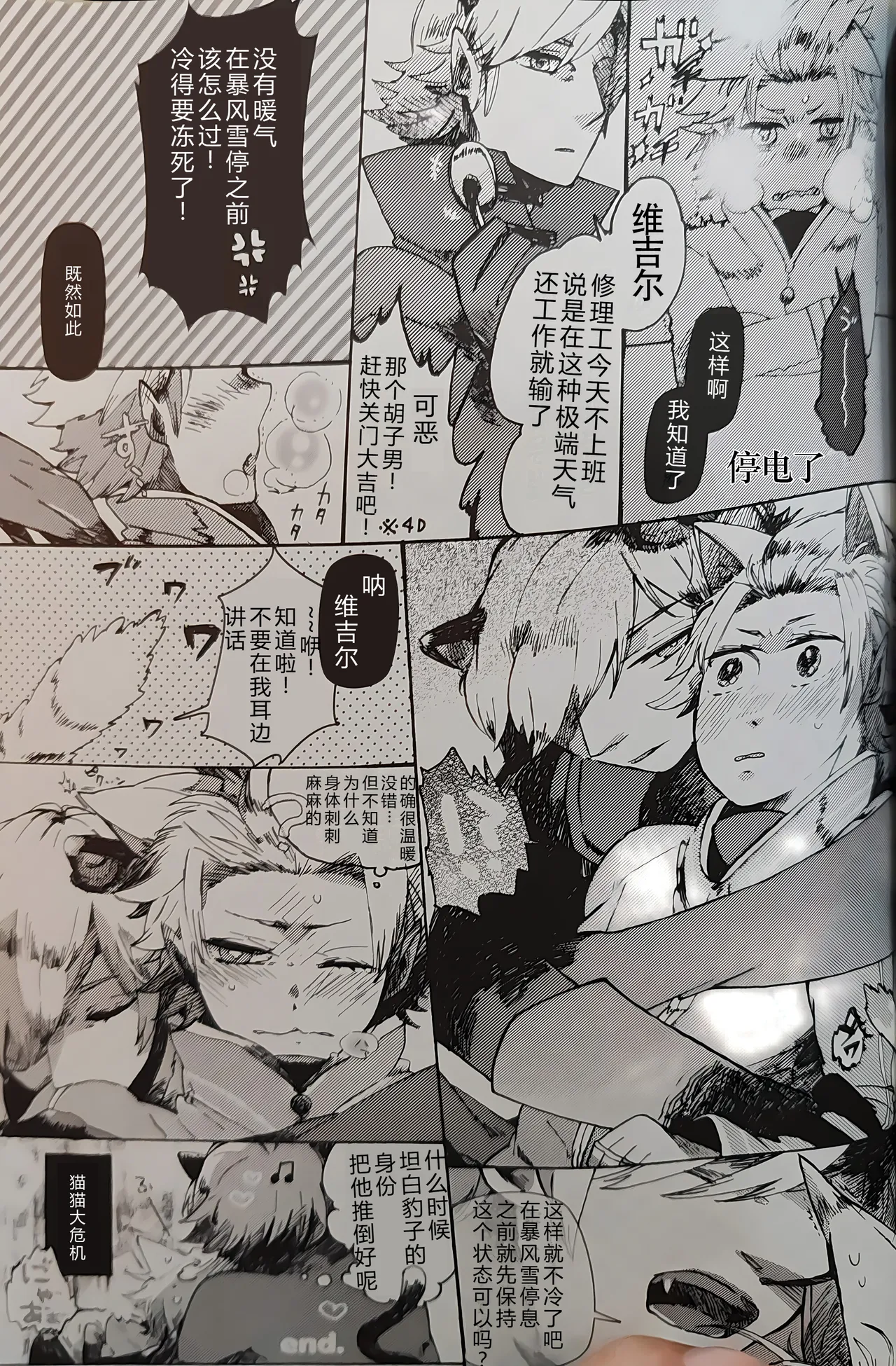 cat food - Page 14