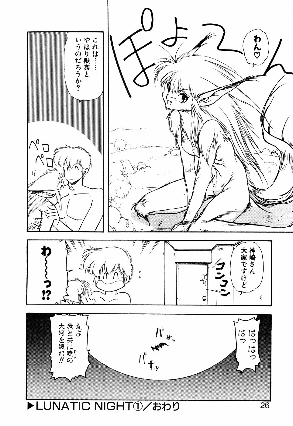 LUNATIC NIGHT I page 25 - full censorship multi-work series hentai manga - read online free