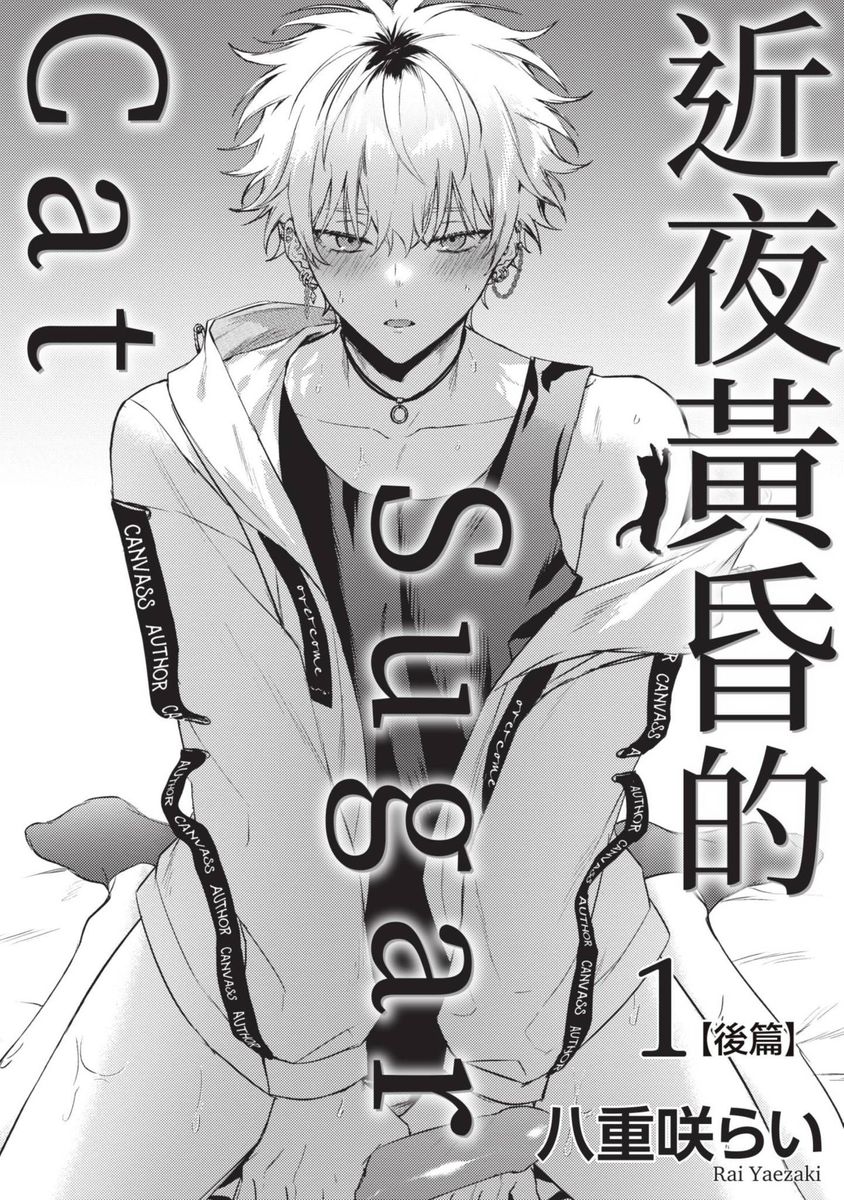 Yoiyami Sugar Cat | 近夜黃昏的Sugar cat page 33 - handjob piercing hentai manga - read online free