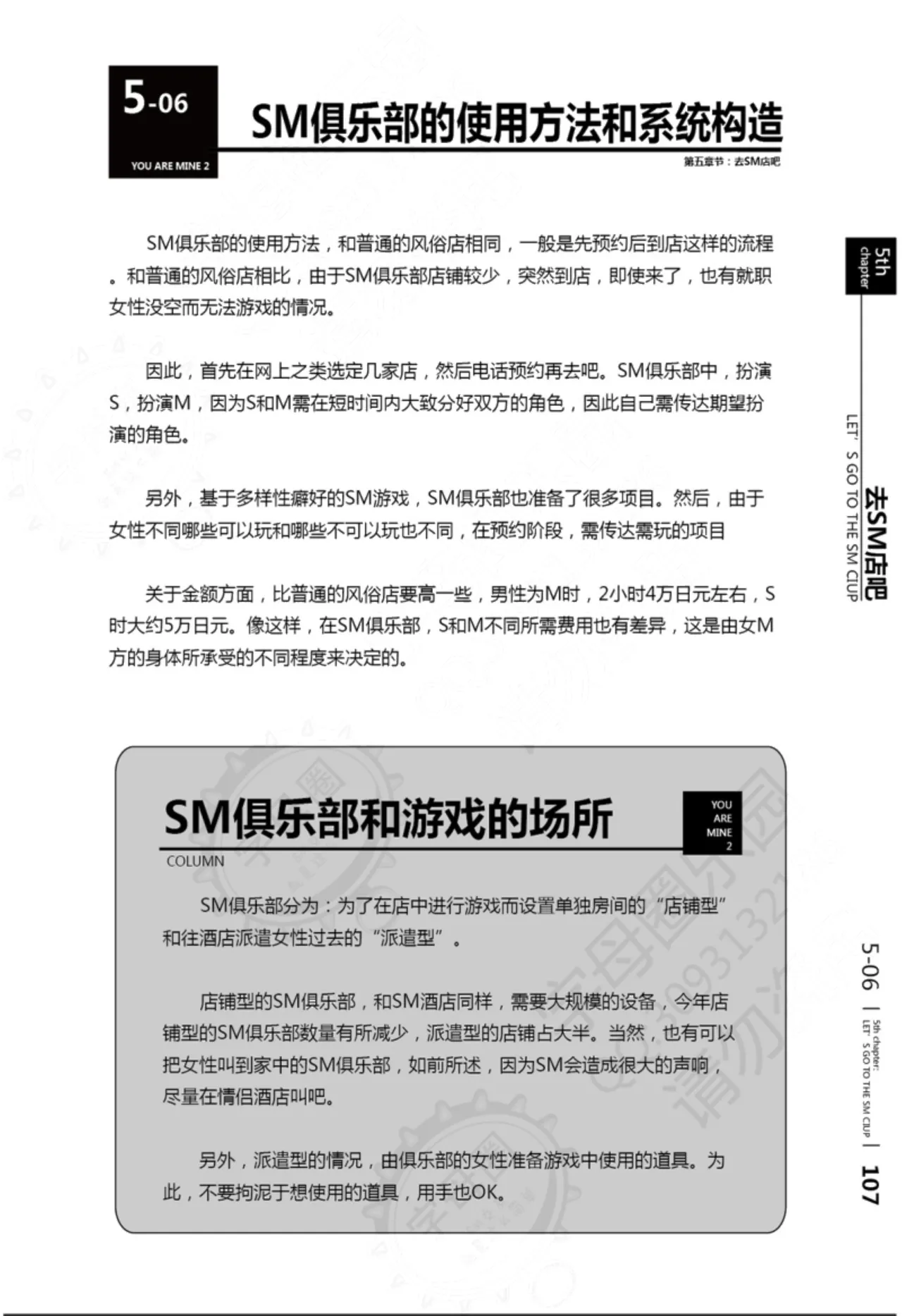 Mi mo Kokoro mo Boku no Mono - YOU ARE MINE!! 2 Hajimete no SM Guide 2 | 我的身体,我的心 第一次的SM指导第二季 page 108 - bdsm sex toys hentai manga - read online free