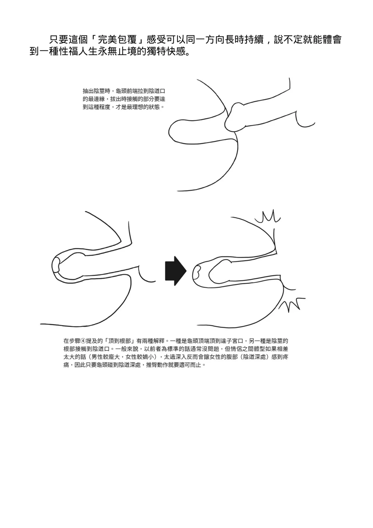 抽插攻略：圖解陰道插入．活塞運動完全指南 - Page 68
