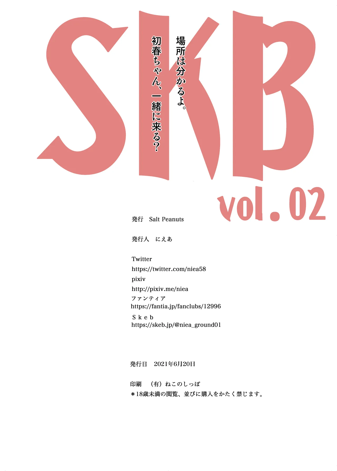 SKB vol. 2 page 28 featuring mikoto misaka toaru project parody - full color swimsuit hentai manga - read online free