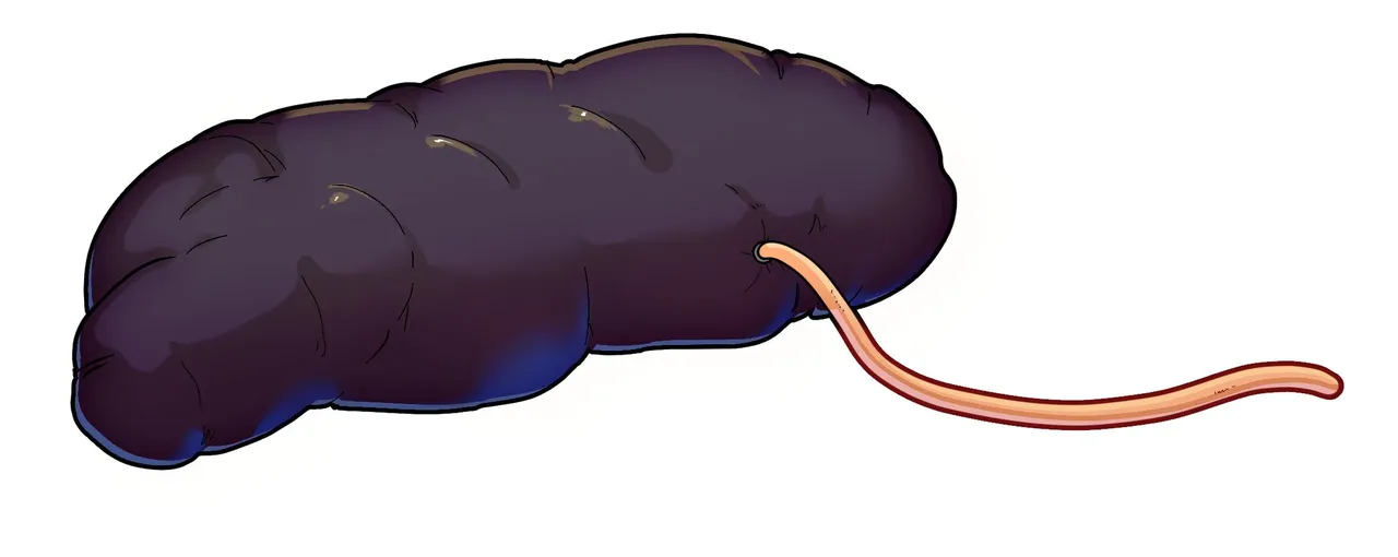 少女动物园1~2 page 36 - gag bondage hentai manga - read online free