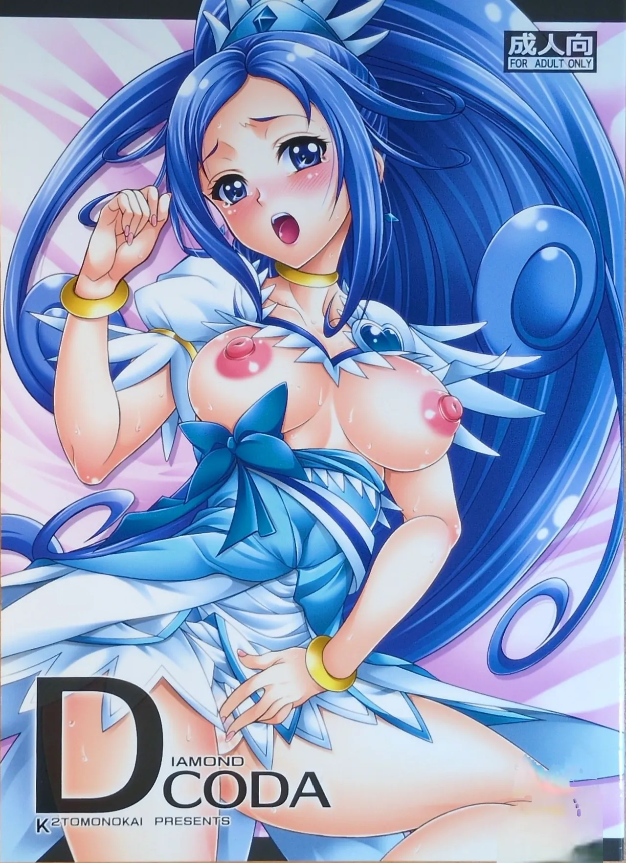 (C84) [K2友の怪 (みずき)]DIAMOND CODA(ドキドキ！プリキュア!)【写真】 - Page 1