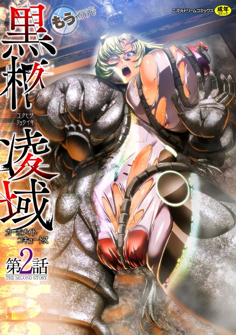 Page 1 of 黒柩凌域 カーボナイトコキュートス II