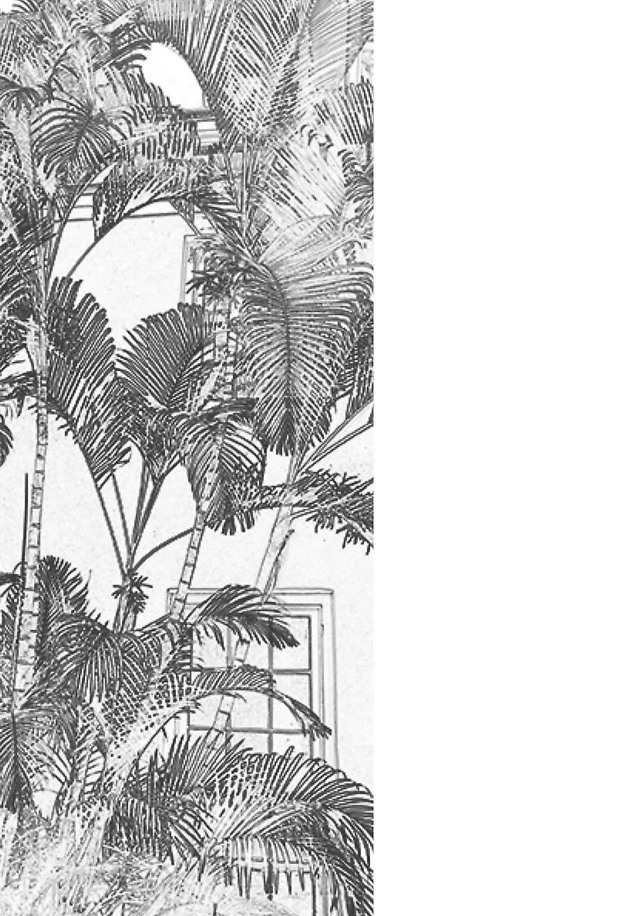 ROMEO vol.2 page 164 - yaoi males only hentai manga - read online free