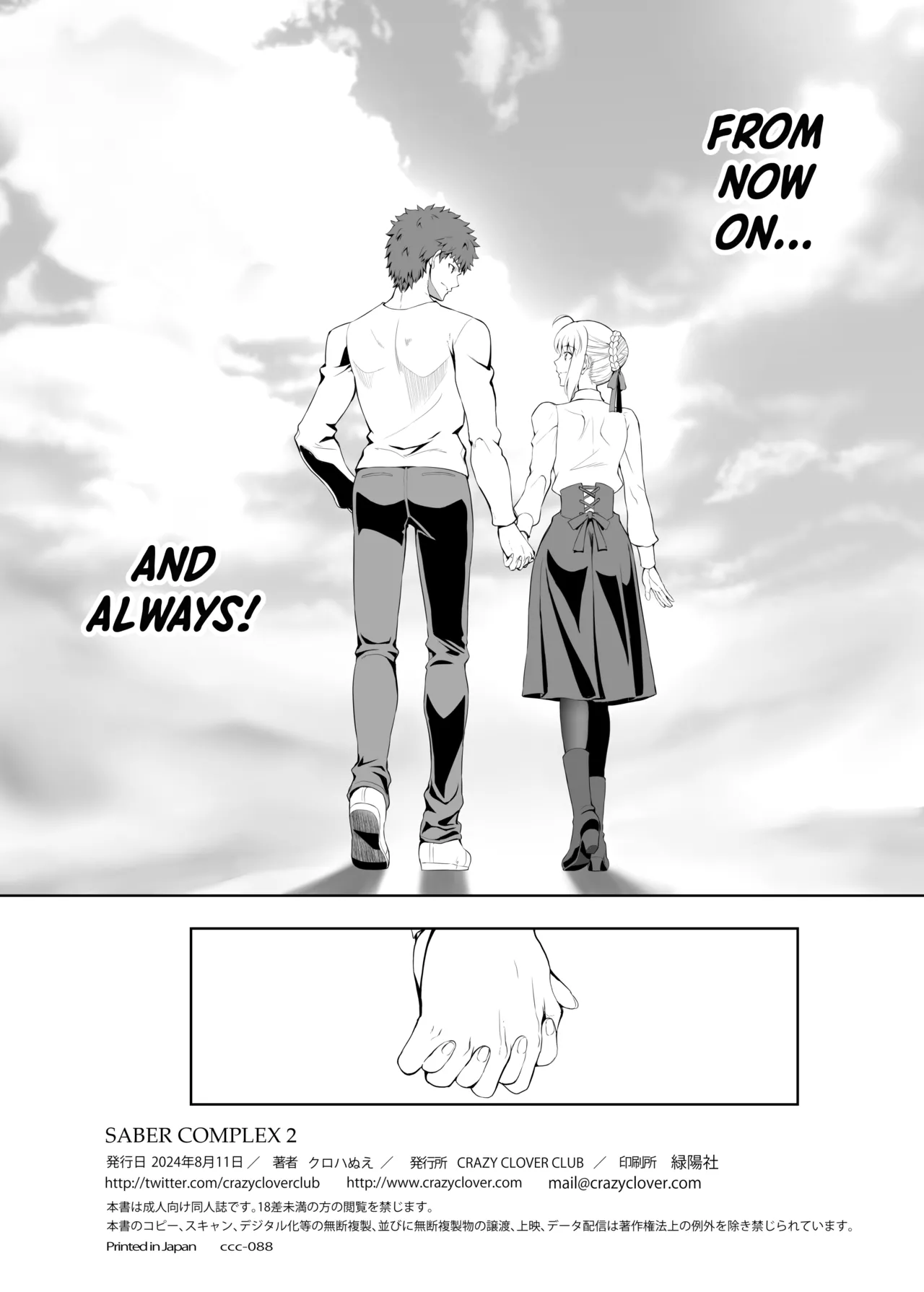 SABER COMPLEX 2 - Page 41