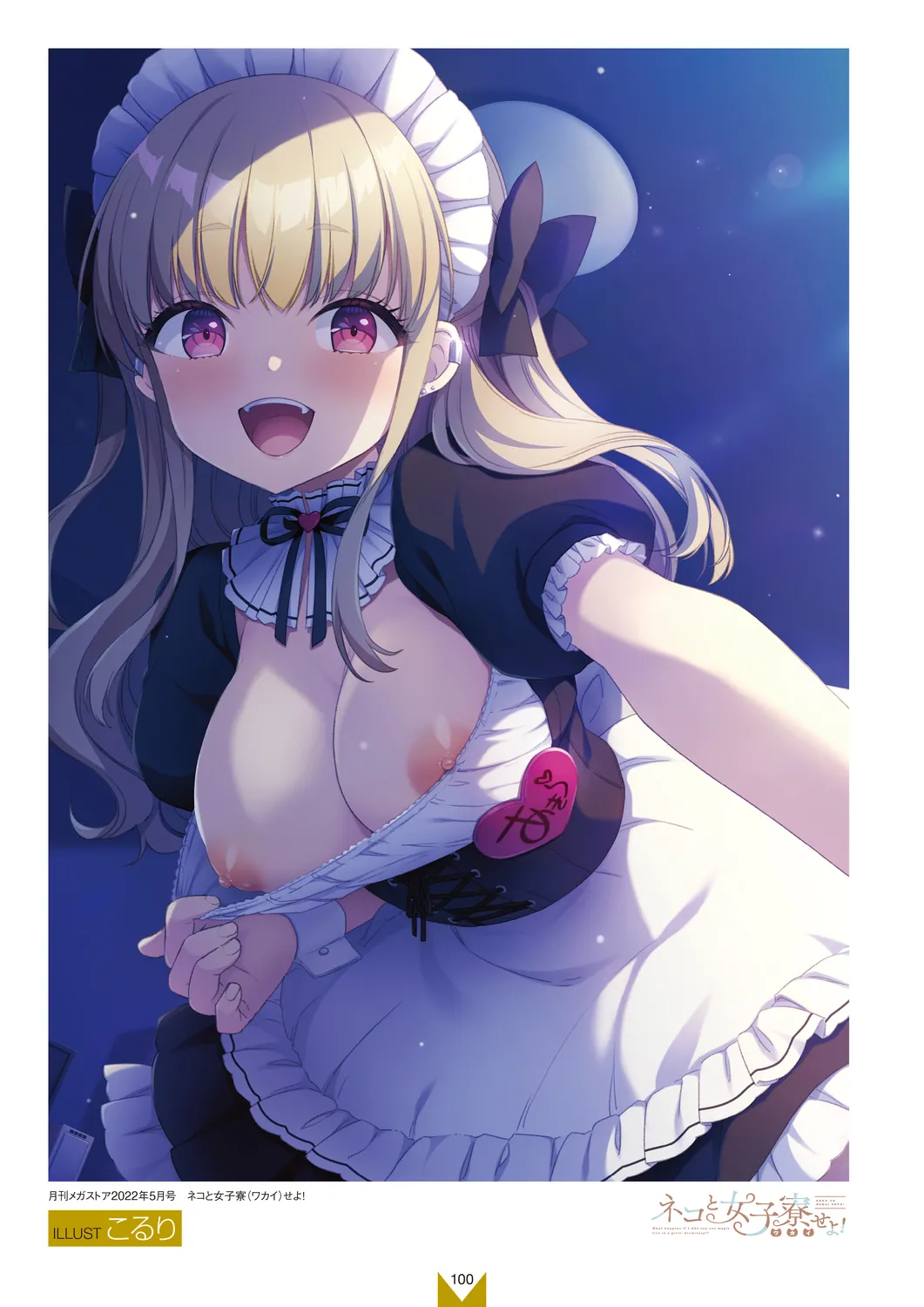 Megastore COVER ILLUSTRATIONS EX - Page 102