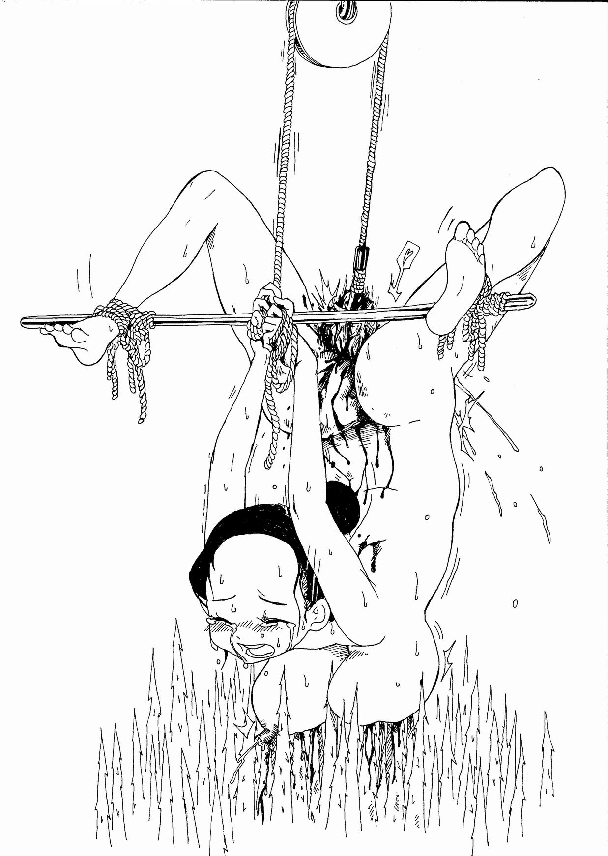 合集 - Page 32