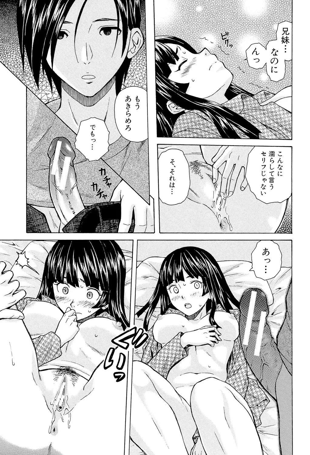 Page 41 of Ani to Imouto no Jijou.