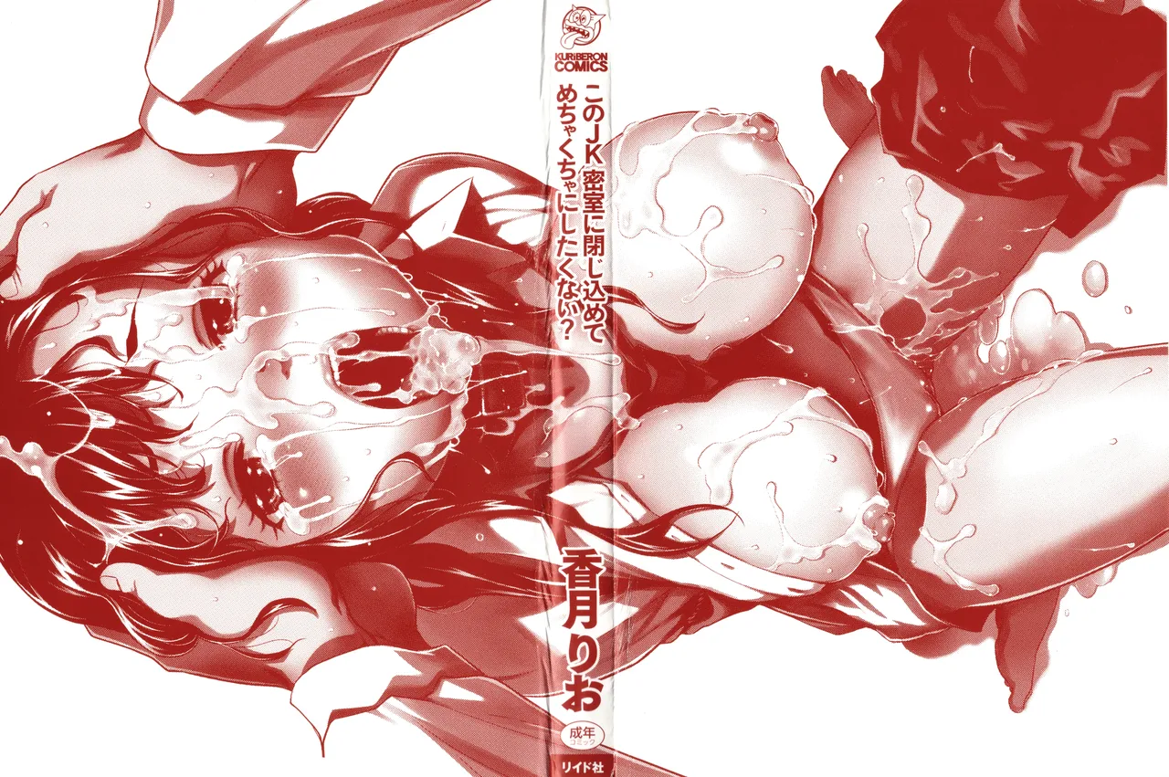 Page 3 of Kono JK Misshitsu ni Tojikomete Mechakucha ni Shitakunai?
