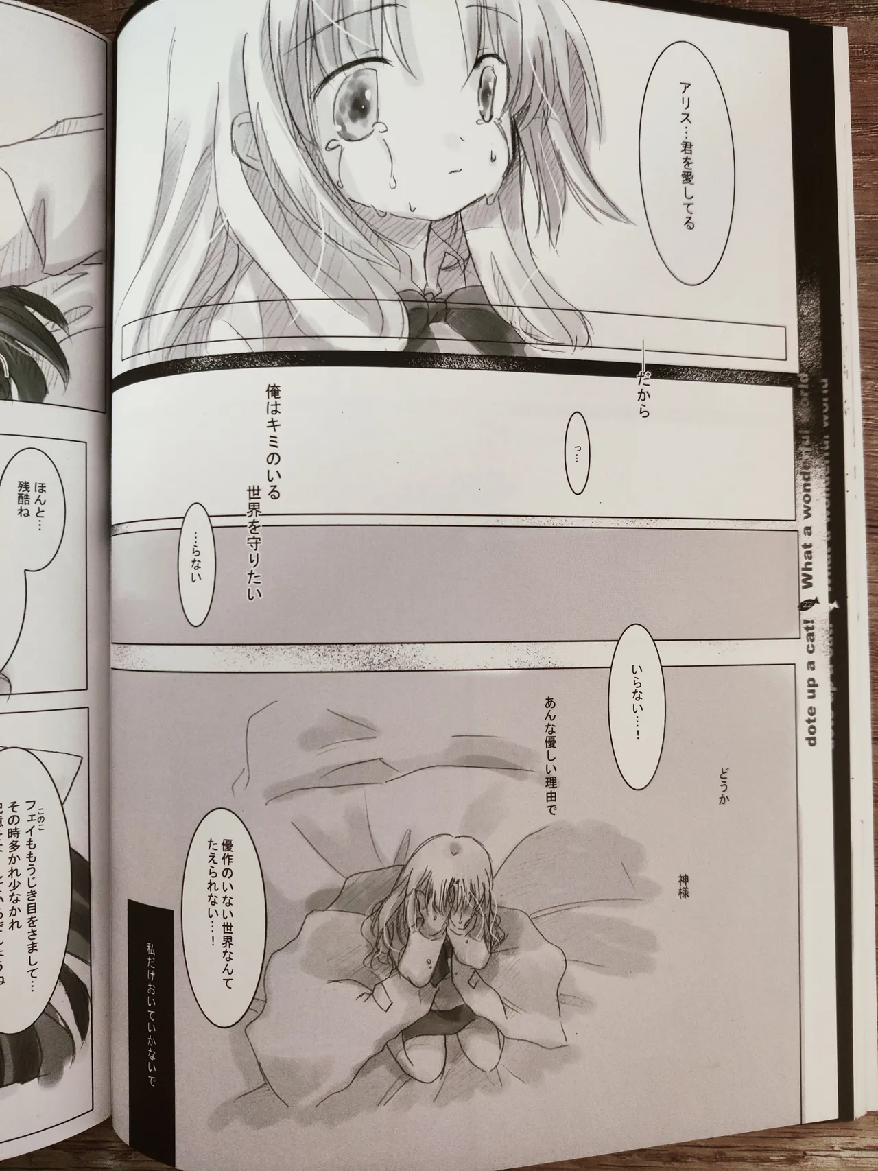 What A Wonderful World page 23 original parody - kemonomimi twins hentai manga - read online free