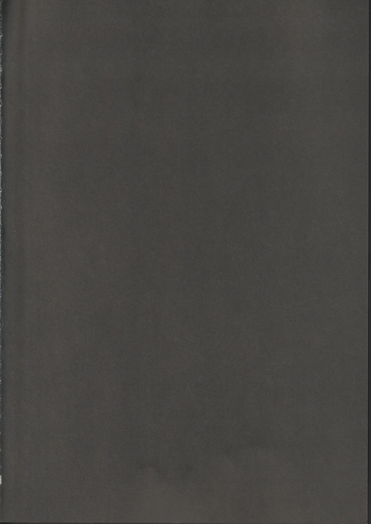 Tobira no Mukou de page 25 featuring maribel han touhou project parody - shemale sole dickgirl hentai manga - read online free