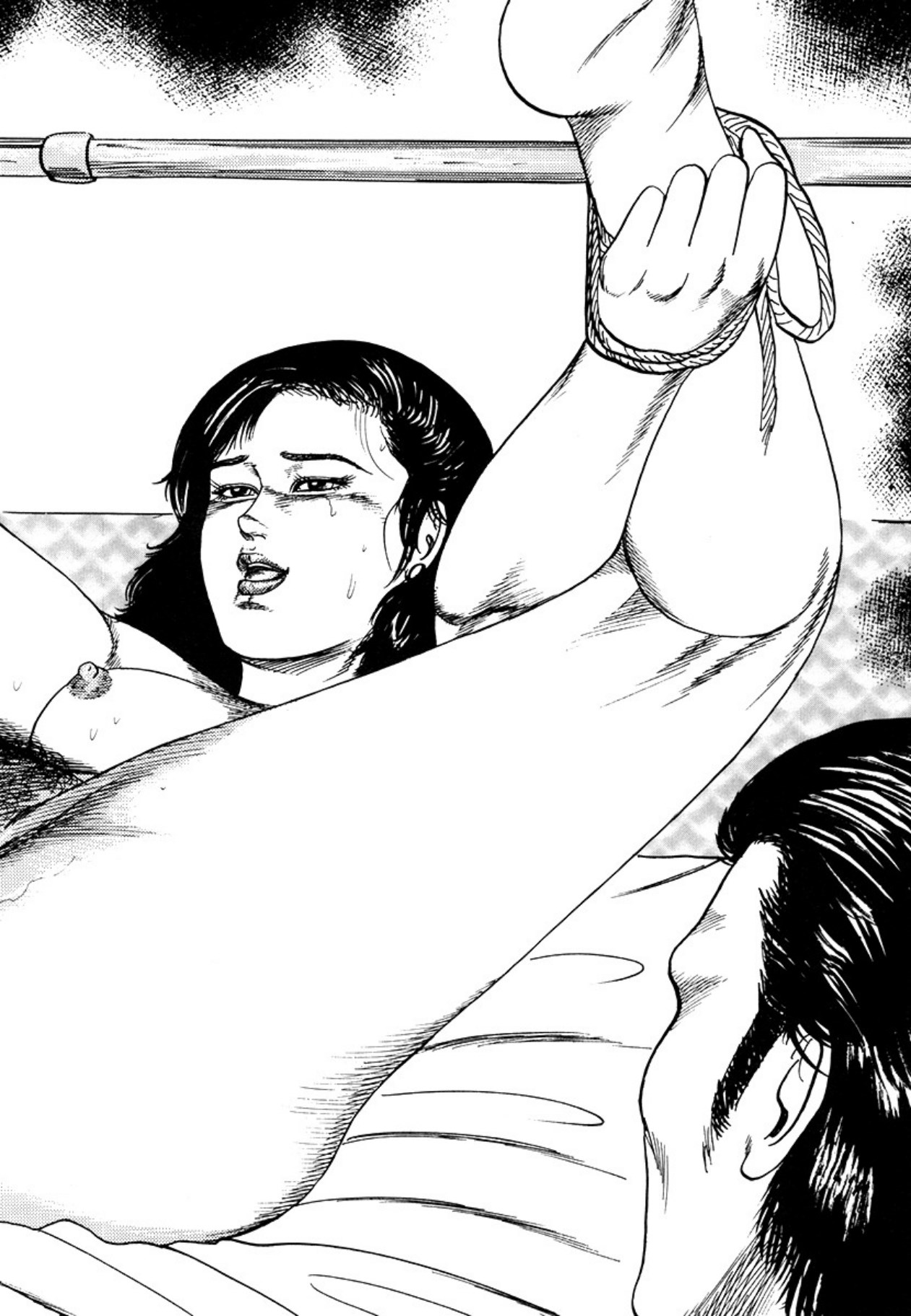 Seijuu Fujin page 14 - anal bondage hentai manga - read online free