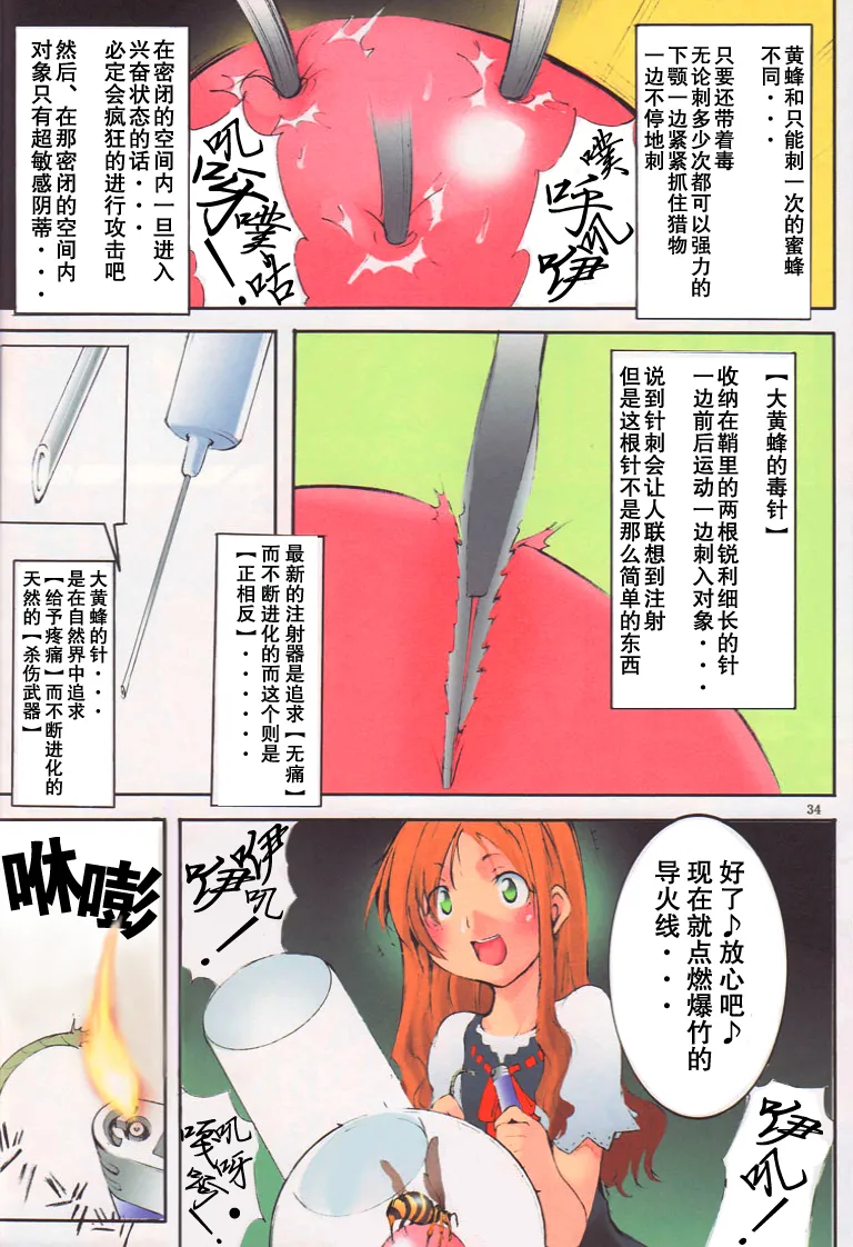 [アルゴラグニア (みこしろ本人)] 聖マルガレタ学園ブラックファイル 1-5 | 聖瑪格麗特學園 暗黑档案1-5 [Chinese] - Page 33