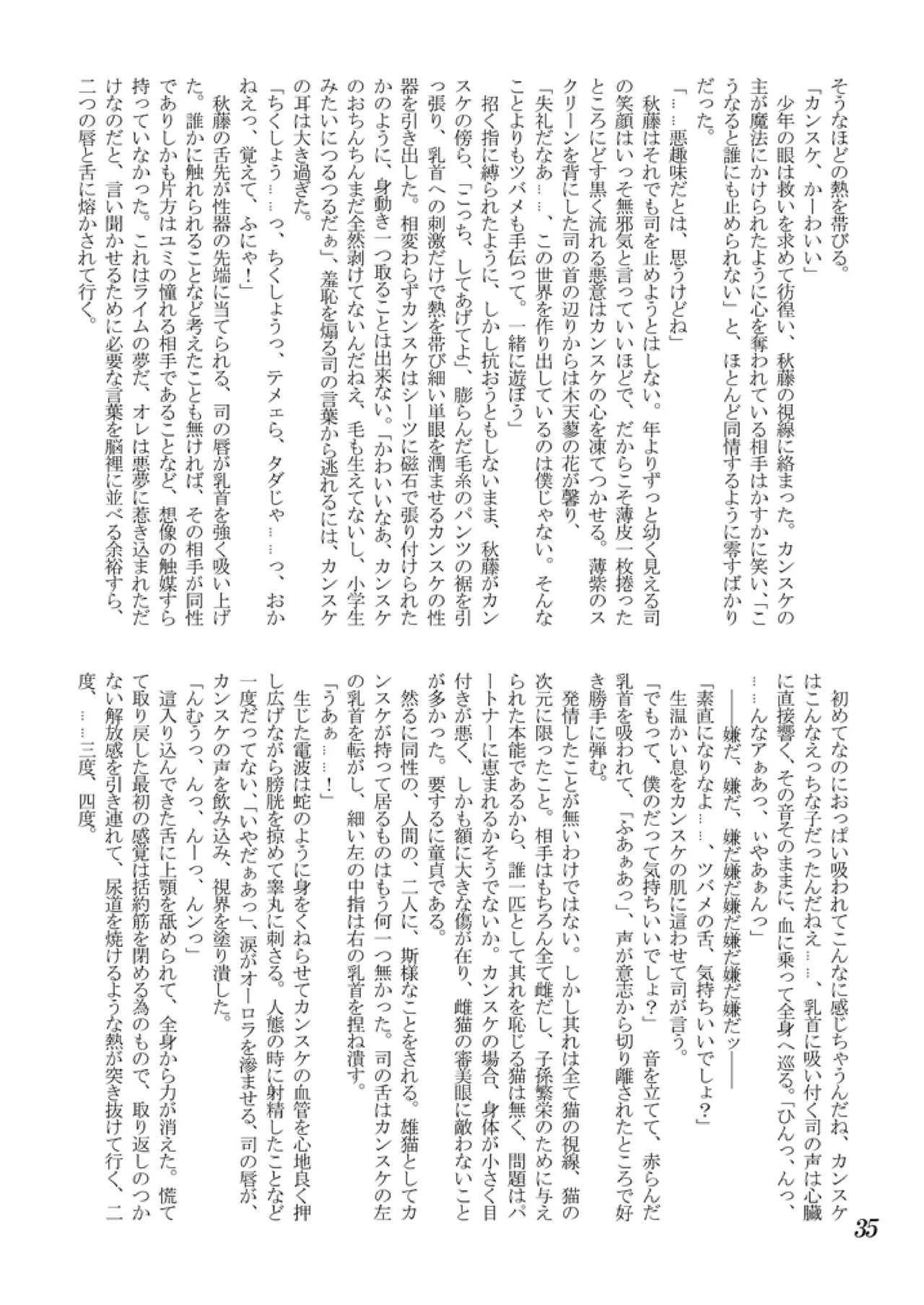 Koushoku Shounen Kaizokuban 1 Batten! - Page 36