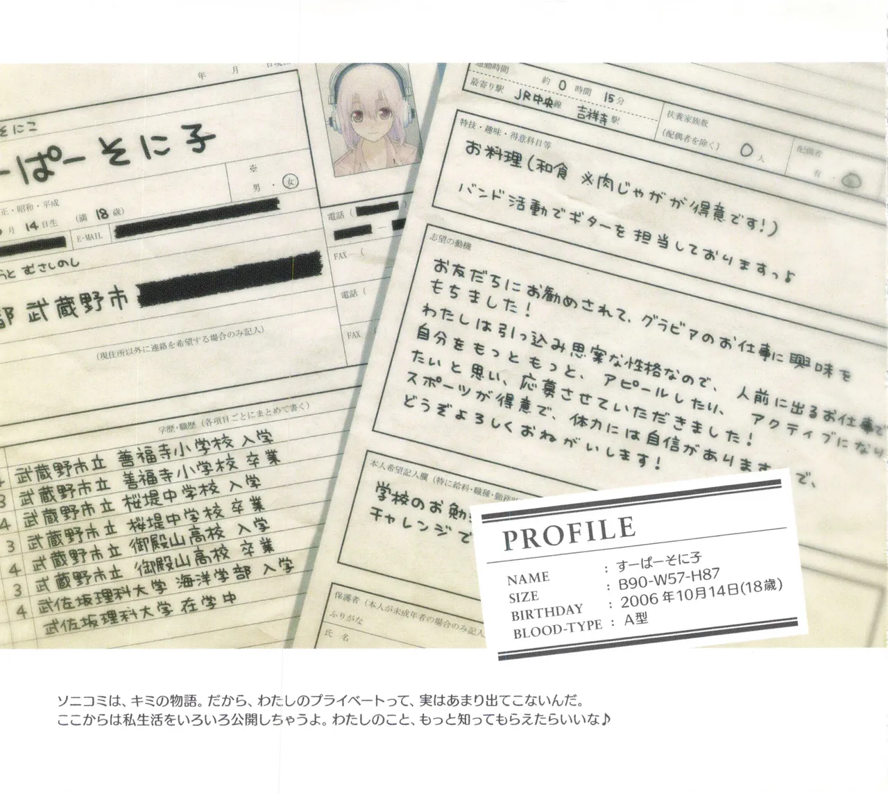 Sonicomi Limited Edition Super Sonico Private Book page 15 featuring super sonico - artbook hentai manga - read online free