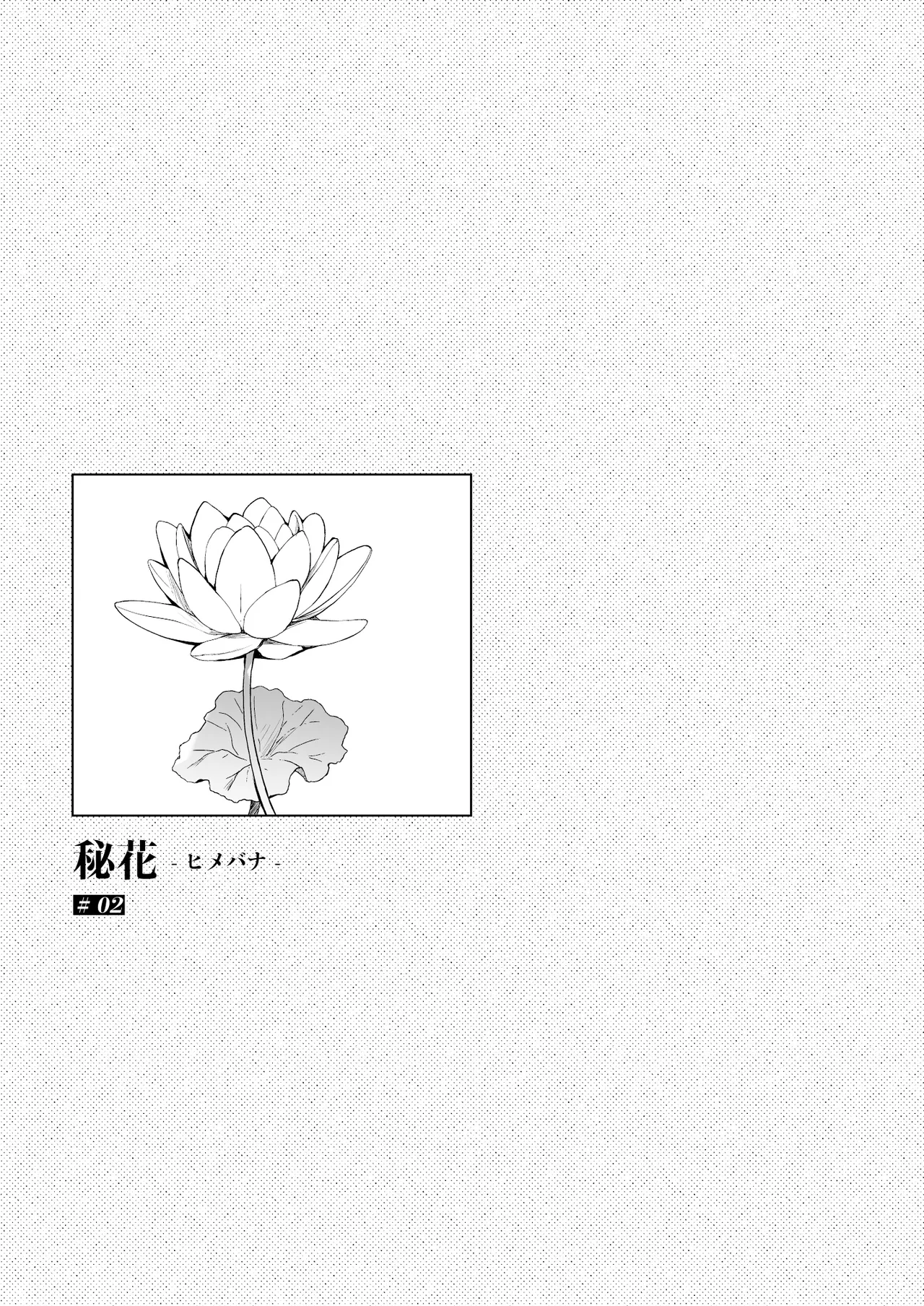 Himebana | 秘花 1+2 page 41 original parody - sole female x-ray hentai manga - read online free