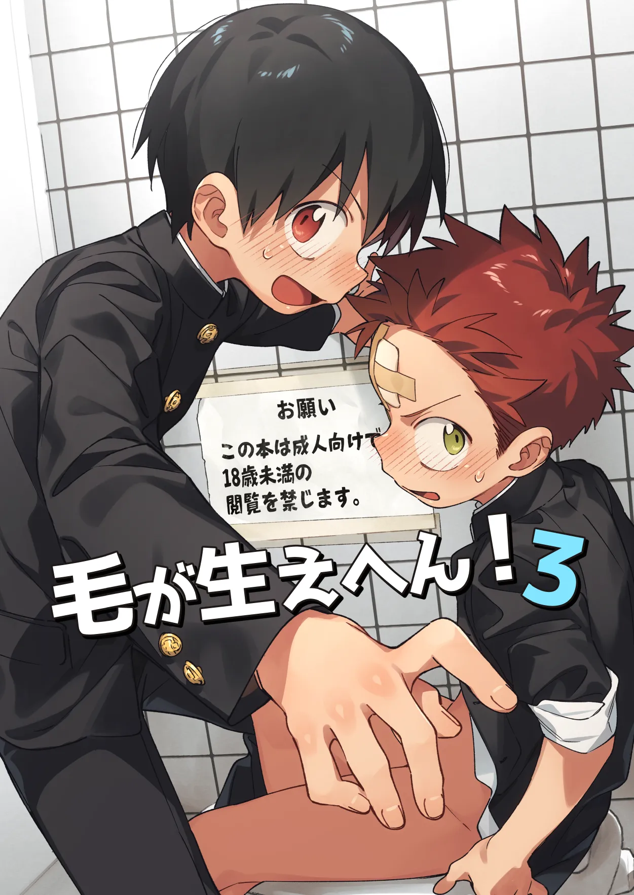 Ke ga Gaehen! 3 - Page 1