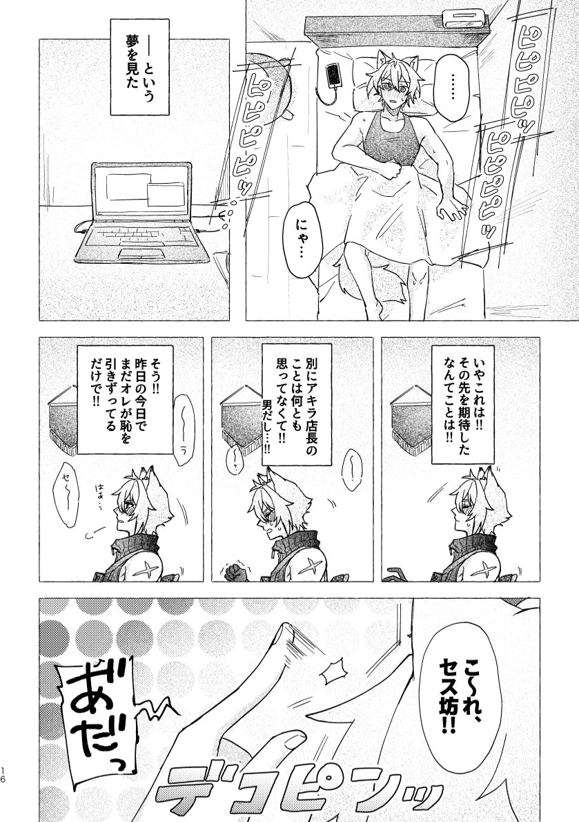 Seth no Neko Bubun, Okarishimasu - Page 16