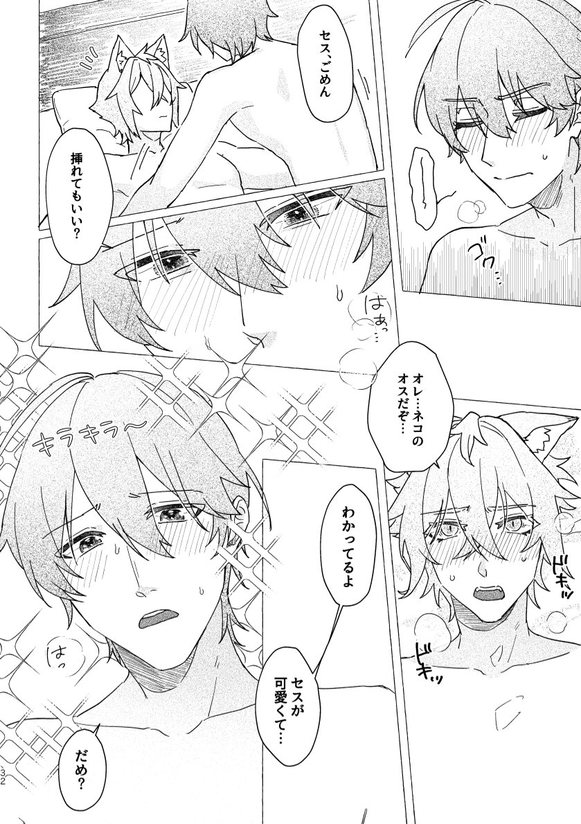 Seth no Neko Bubun, Okarishimasu - Page 32