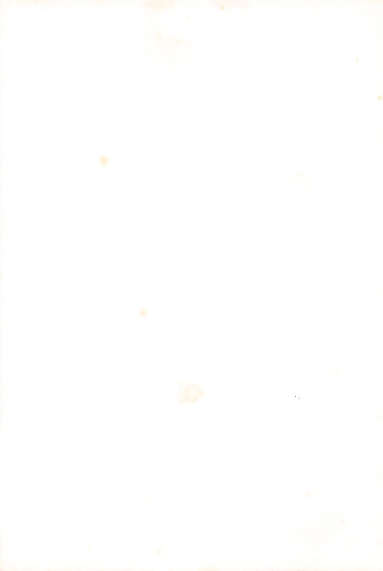 FRACTURE 3 page 123 original parody - catgirl kemonomimi hentai manga - read online free