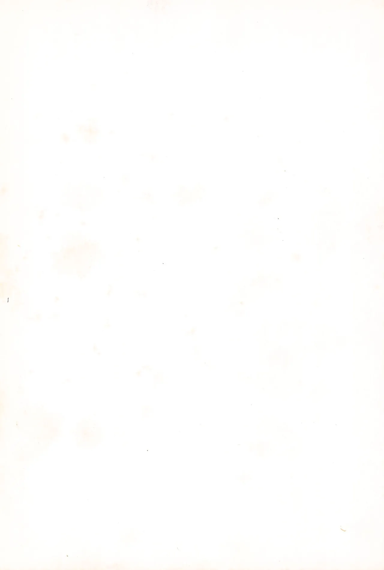 FRACTURE 3 page 124 original parody - kemonomimi tail hentai manga - read online free