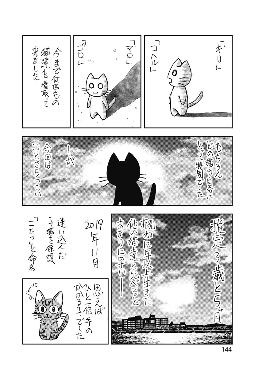 Isekai Soap Land Kaguya 6 - Page 145