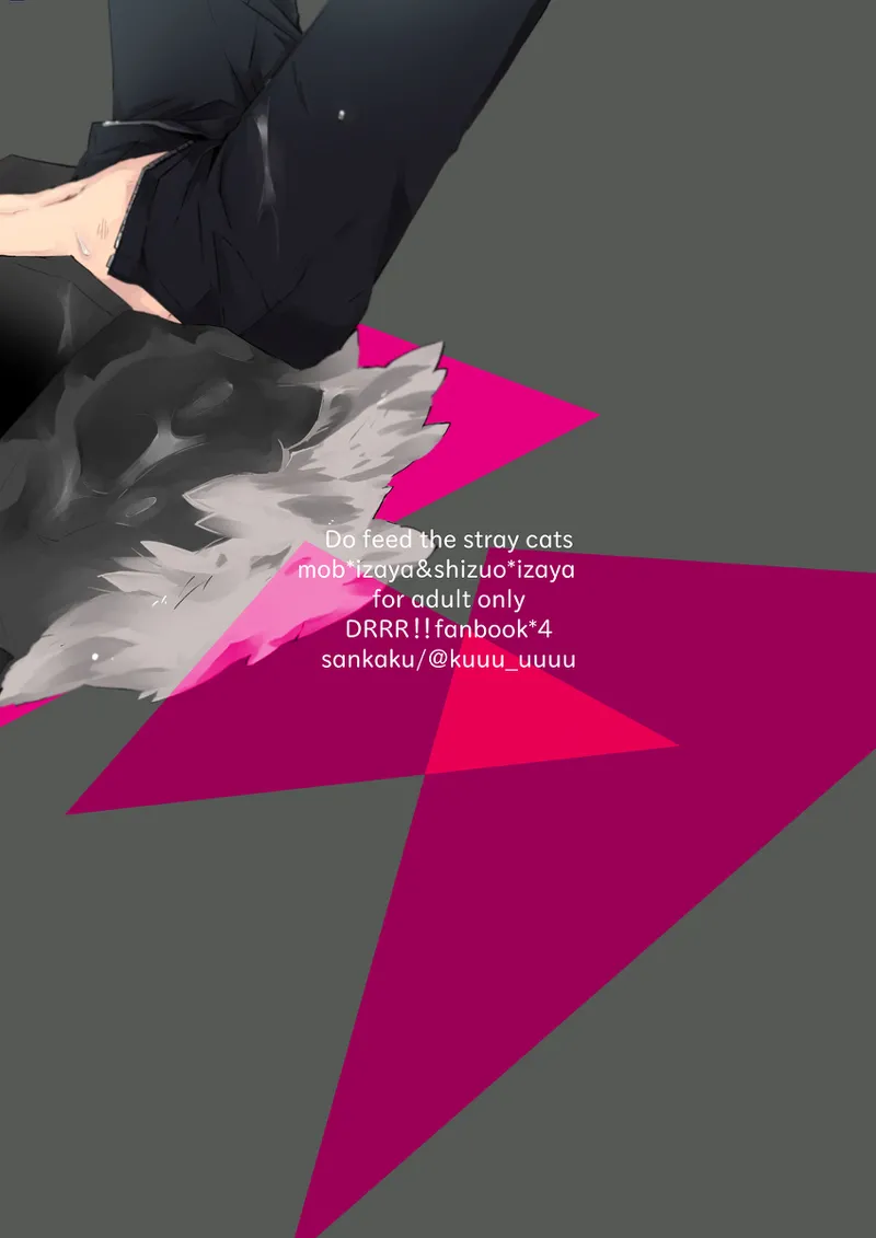 Feeding Stray Cats - Durarara doujin page 30 full