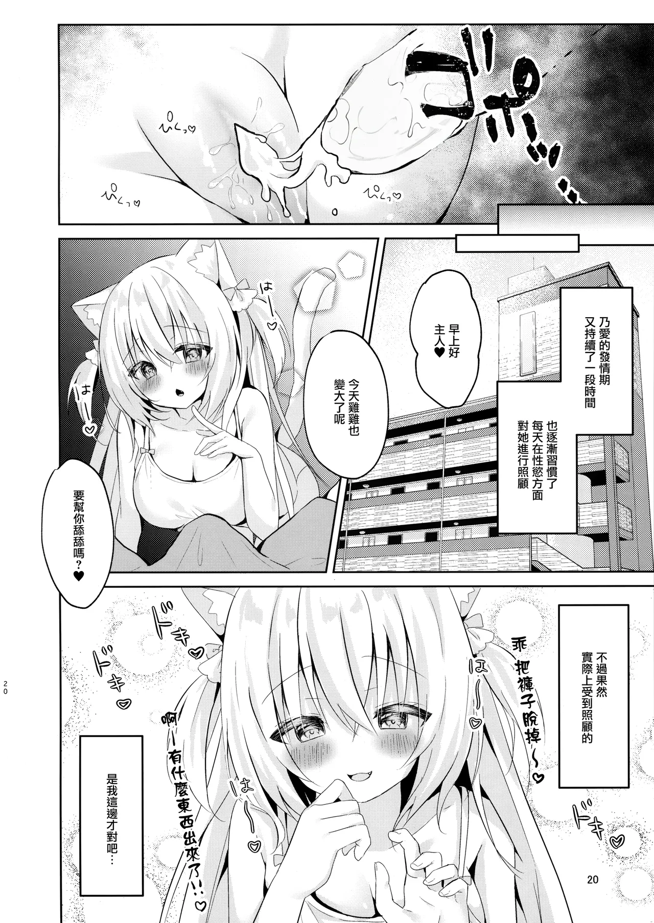 Hatsujou Neko no Osewa no Shikata - Page 20